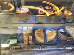 -哈根达斯(石家庄北国店)
