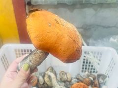 -牛羊鲜汤锅(塔公镇菜市场店)