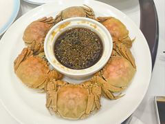 -便宜坊烤鸭店(玉蜓桥店)