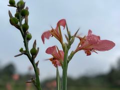 -桤木河湿地公园