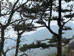 -安徽天堂寨风景区
