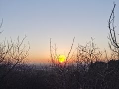 -北京西山国家森林公园