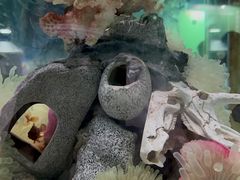 -太平洋海底世界