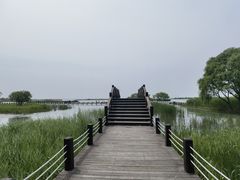 -苏州太湖湖滨国家湿地公园