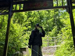 -三块石国家森林公园