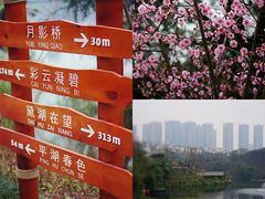 -重庆彩云湖湿地公园