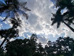 -中国科学院西双版纳热带植物园