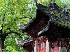 -汇龙潭