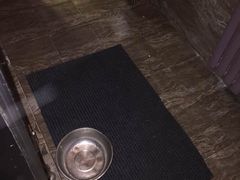 -红菜坊·烤鸭·川鲁宴(石园店)