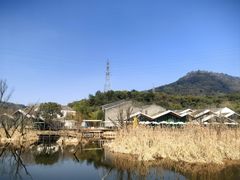 -西湖风景区-江洋畈生态公园
