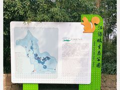 -西湖风景区-江洋畈生态公园