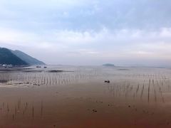 -北岐滩涂