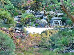 -成田山新胜寺