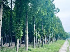 -南京金牛湖风景区
