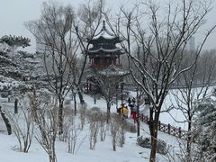 -迎泽公园
