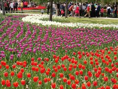 -长春公园(普阳街道)