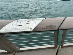 -星光大道