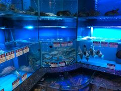 -协成海鲜火锅(海洋花园店)