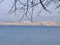 -洱海月湿地公园