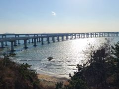 -星海湾跨海大桥