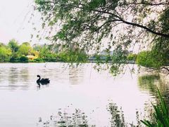 -南通濠河风景名胜区