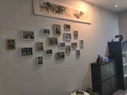 -榕树上·瑜伽普拉提