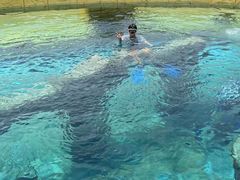 -上海玛雅海滩水公园