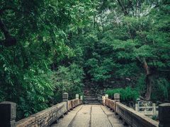-汇龙潭