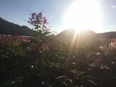 景点-广州市石门国家森林公园
