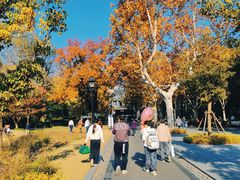 -中山公园