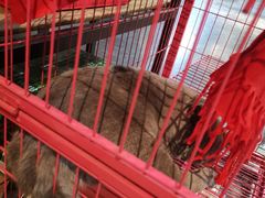 -第三空间·趣味桌游·轰趴.室内CS.剧本杀(大武汉1911店)