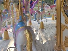 -金石滩蓝莓谷庄园