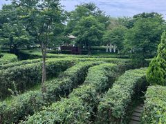 -眉山湿地公园(东坡区)