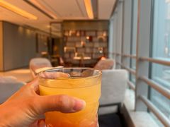 -广州奥园喜来登酒店