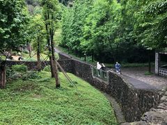 -都江堰中华大熊猫苑