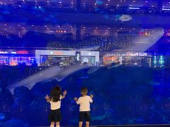 -成都浩海立方海洋公园