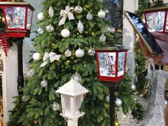 -上海虹桥花卉市场经营管理有限公司-停车场