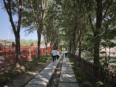 -稻香湖公园