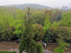 -武汉大学-樱园