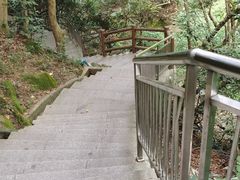 -火炉山森林公园