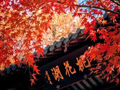 -长兴八都岕景区