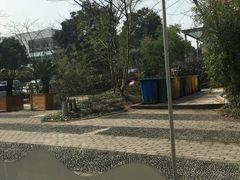 -祥记·苏帮菜·松鼠桂鱼(湖畔天城店)