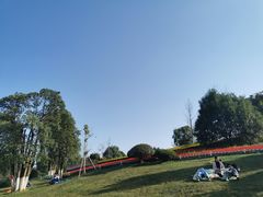 -铁山坪森林公园