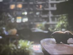 -SFC上影影城(港汇永华IMAX激光店)