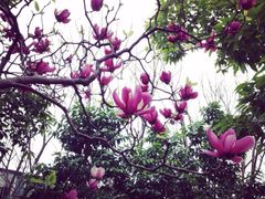 iphone_upload_pic-东部华侨城