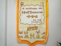 -宠福鑫康馨动物医院·骨科·眼科