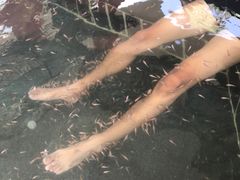 -观唐（国际）度假村温泉