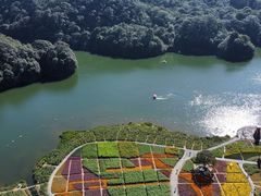 -广州市石门国家森林公园