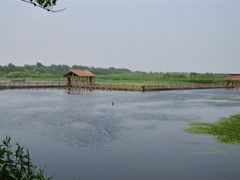 iphone_upload_pic-溱湖国家湿地公园