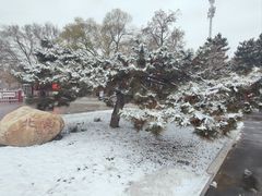 -北陵公园
